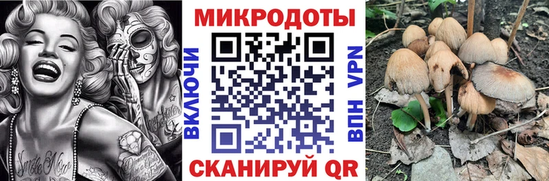 blacksprut зеркало  сайты даркнета как зайти  Красный Холм  Псилоцибиновые грибы мицелий  купить наркотики цена 
